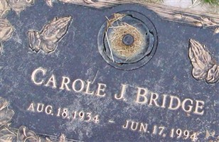 Carole J Bridge