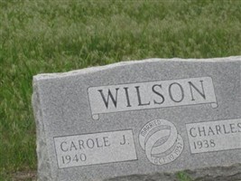 Carole J. Wilson