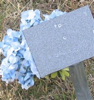 Carole Jean Barton Gier
