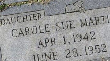 Carole Sue Martin
