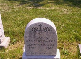 Carolina Rosalia