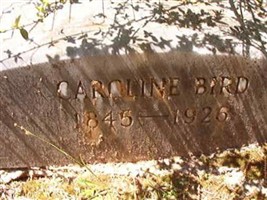 Caroline Bird Caroline Bird