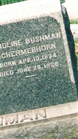 Caroline Bushman Caroline Bushman