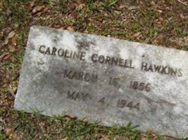 Caroline Cornell Hawkins