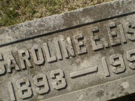 Caroline E Eisel
