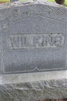 Caroline E Wilkins