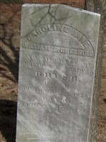 Caroline Jane Brush Cheshire