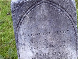 Caroline Mary Gaillard Caroline Mary Gaillard