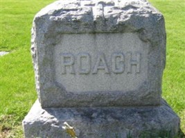 Caroline Roach