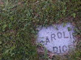Caroline Voltz Dice