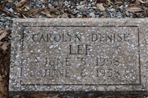 Carolyn Denise Lee