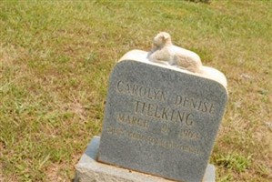 Carolyn Denise Tielking Carolyn Denise Tielking