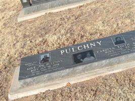 Carolyn Edith Abner Pulchny