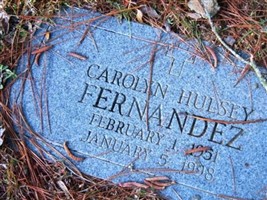 Carolyn Hulsey Fernandez