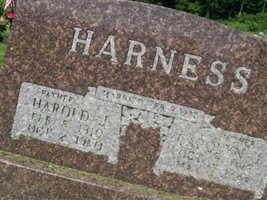 Carolyn J Harness