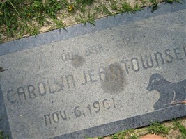Carolyn Jean Townsend Carolyn Jean Townsend