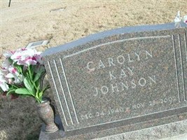 Carolyn Kay Logsdon Johnson Carolyn Kay Logsdon Johnson