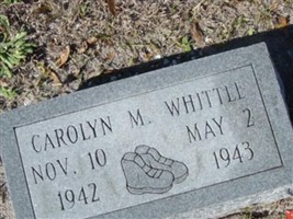 Carolyn M Whittle