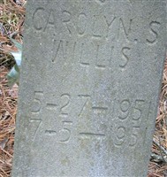 Carolyn S Willis Carolyn S Willis