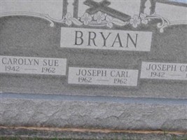 Carolyn Sue Bryan Carolyn Sue Bryan