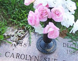 Carolyn Sue Shell Carolyn Sue Shell