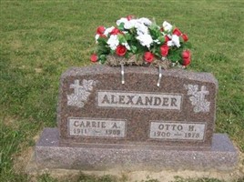 Carrie A Alexander