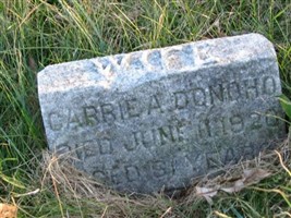 Carrie A. Donoho Carrie A. Donoho