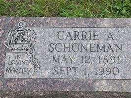 Carrie A. Schoneman