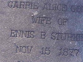 Carrie Alice Goins Sturkie