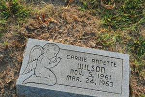 Carrie Annette Wilson
