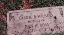 Carrie Bradley Wilkins Carrie Bradley Wilkins