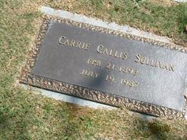 Carrie Callis Sullivan