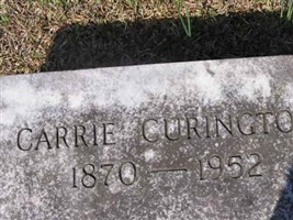 Carrie Curington Carrie Curington
