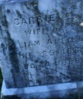 Carrie E. Field