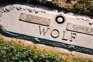 Carrie E Lutz Wolf