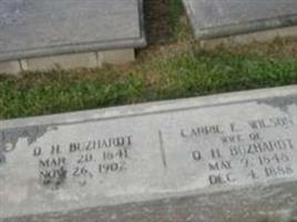 Carrie E. Wilson Buzhardt