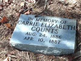 Carrie Elizabeth Counts