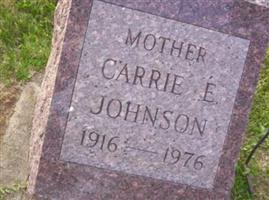 Carrie Elizabeth Johnson