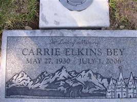 Carrie Elkins Bey