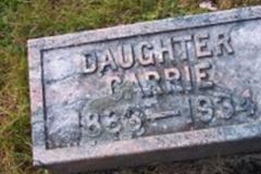 Carrie Fritz