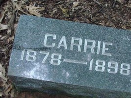 Carrie Halbert Carrie Halbert