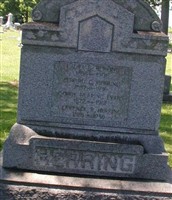 Carrie Herring Evans