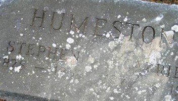 Carrie Humeston