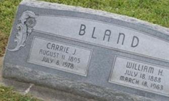 Carrie J Bland