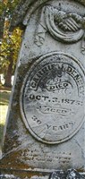 Carrie J Denney