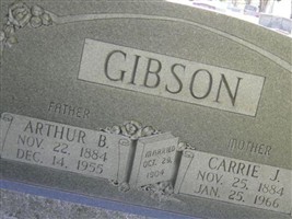 Carrie J Gibson
