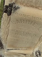 Carrie L Rigney Haney