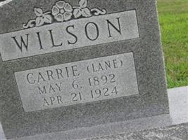 Carrie Lane Wilson