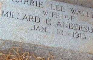 Carrie Lee Waller Anderson