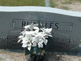 Carrie M. Rundles Carrie M. Rundles